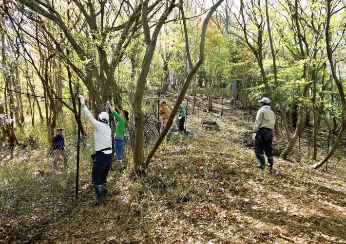 能勢町三草山ゼフィルスの森の保全活動をする人たちの画像