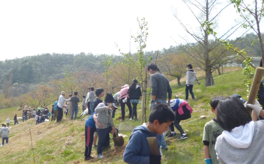 キービジュアルの画像