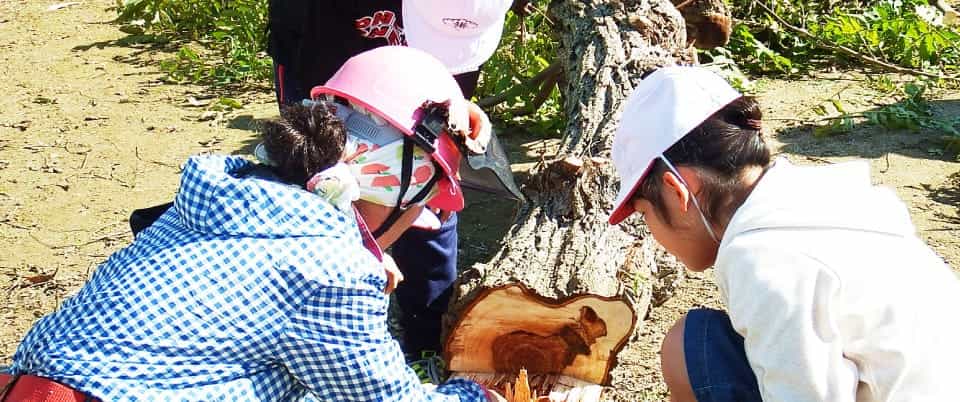 学校等を対象とした助成事業