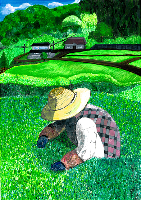 ばあちゃんの土佐茶つみ