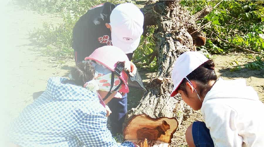 キービジュアルの画像