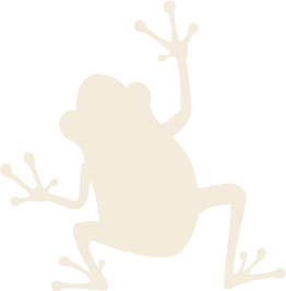 カエルのイラスト