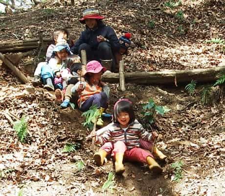 子供が森林で遊んでいる写真