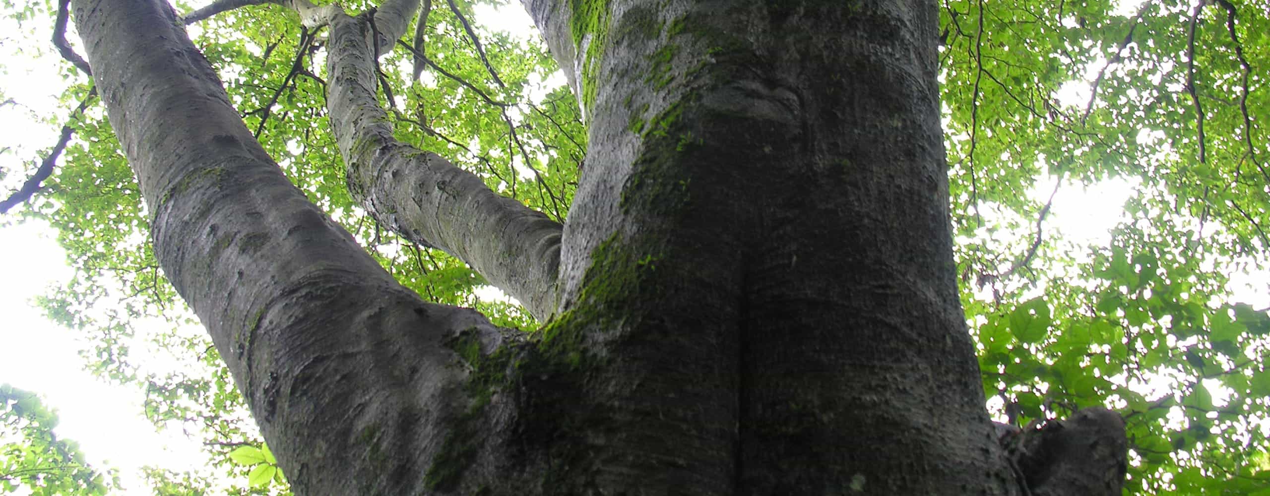 キービジュアル1