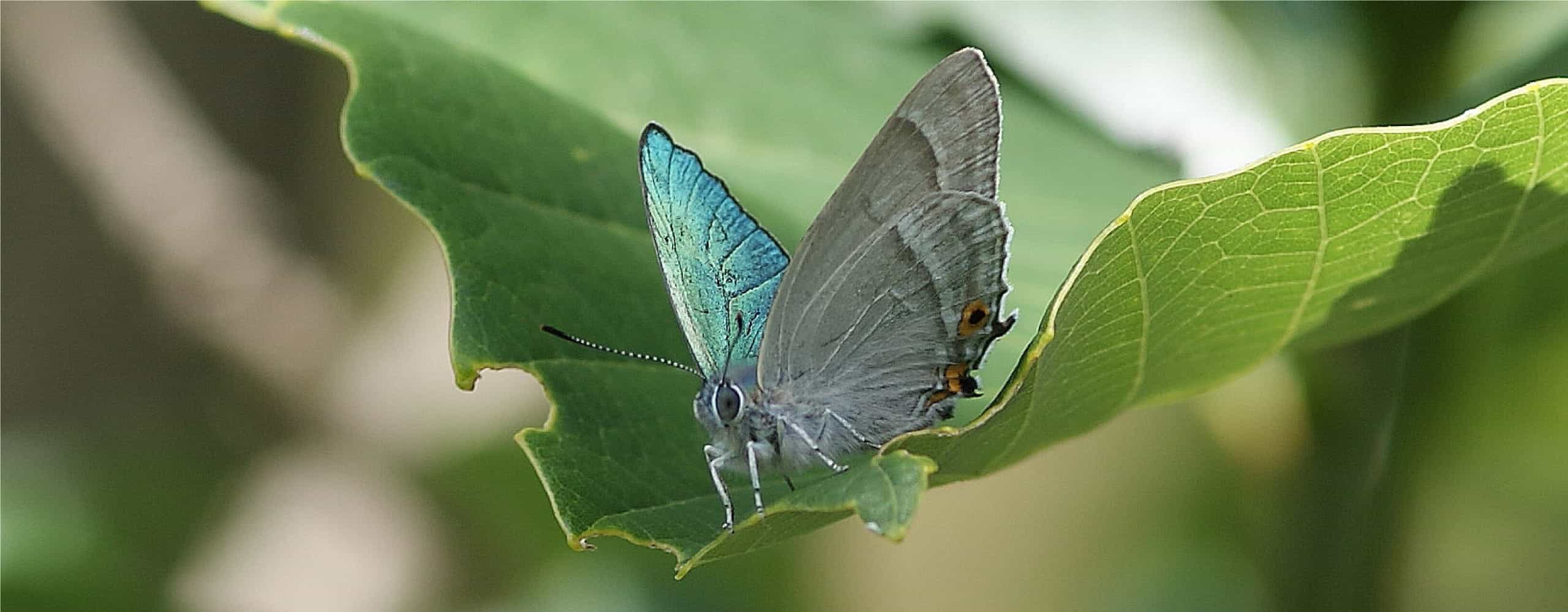 キービジュアル2