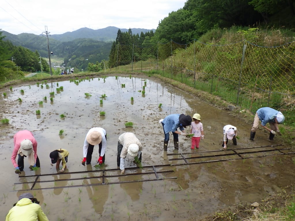 募金の推移の図