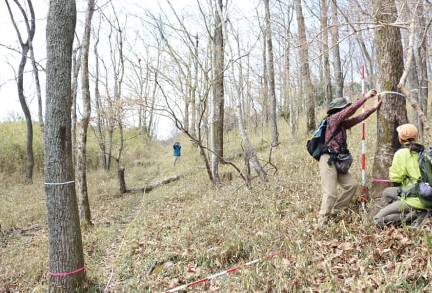 三草山の毎木調査