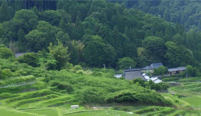 大阪里山ネットワーク