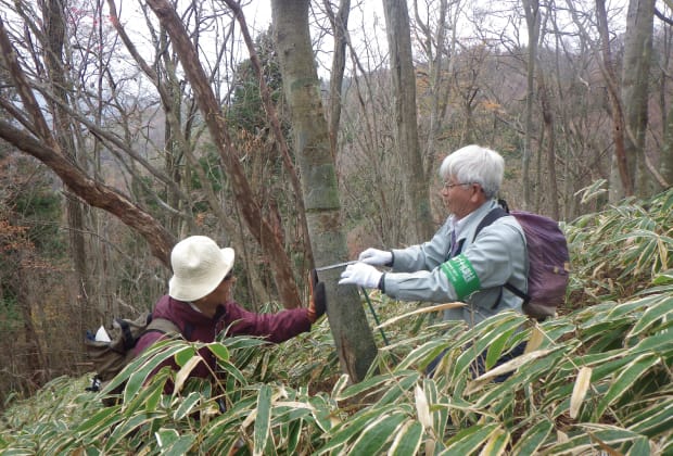三草山の毎木調査