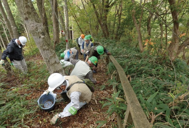 泉葛城山ブナ林を手入れする人たちの画像