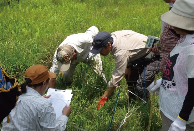 水を湿地全体に行き渡らせるといった作業の様子