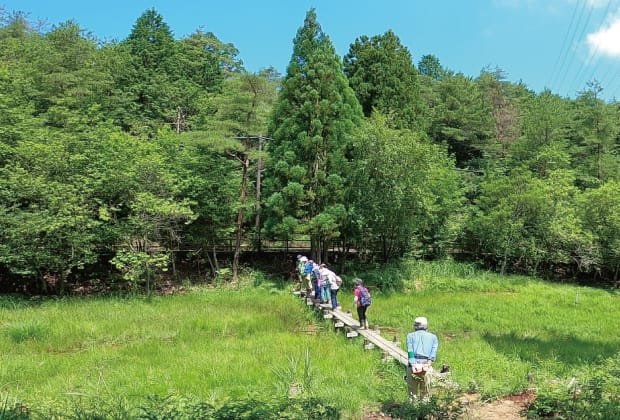 水を湿地全体に行き渡らせるといった作業の様子