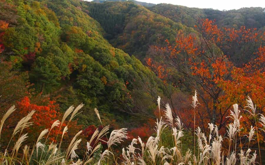 キービジュアルの画像