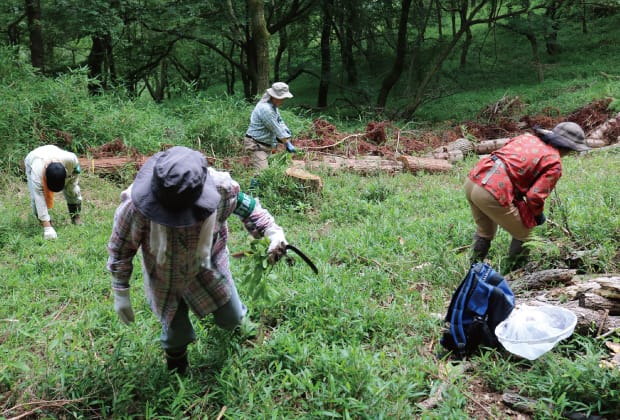 草刈りの様子の画像