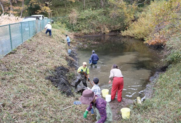 池の中で作業する人たちの画像