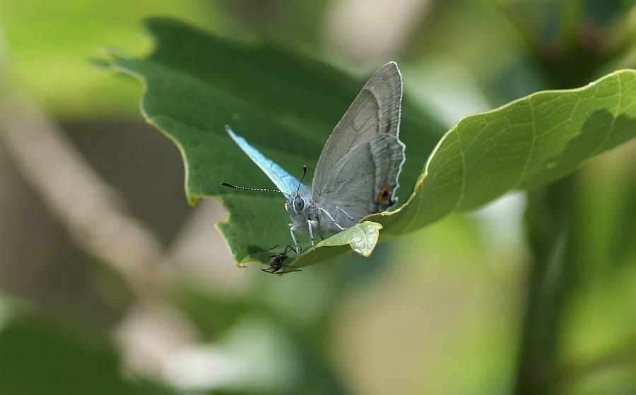 キービジュアルの画像