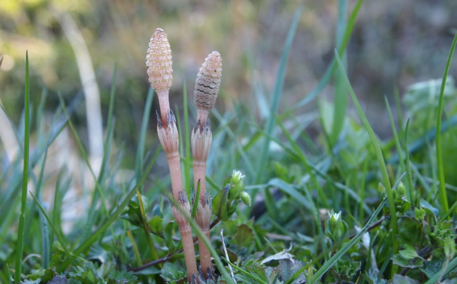 キービジュアルの画像