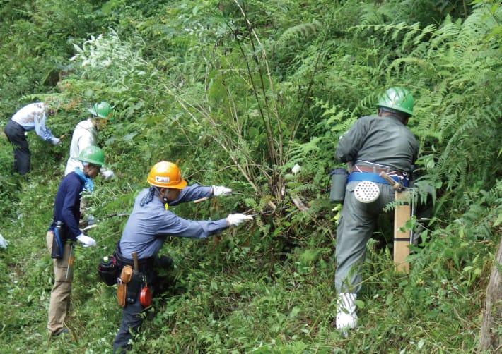 和泉葛城山ブナ林（岸和田市・貝塚市）を手入れしている人たちの画像