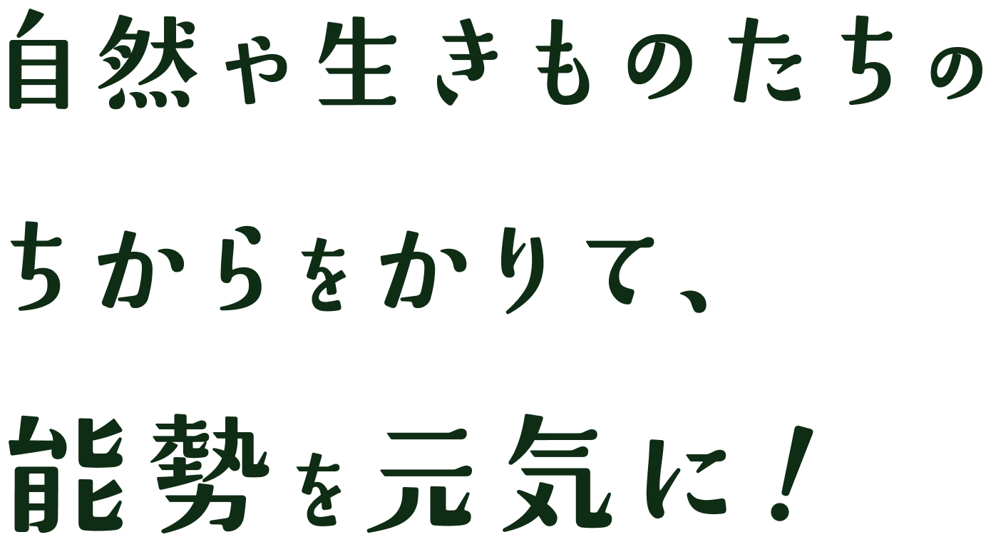 自然や生きものたちのちからをかりて、納勢を元気に！