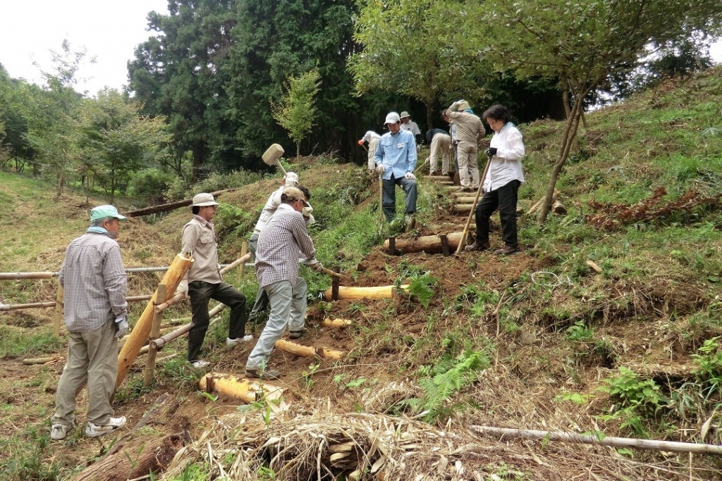 lwrn-y99byte9rh545ru01dv8emrecdi.jpg lwrn-y99byte9rh545ru01dv8emrecdi.jpg