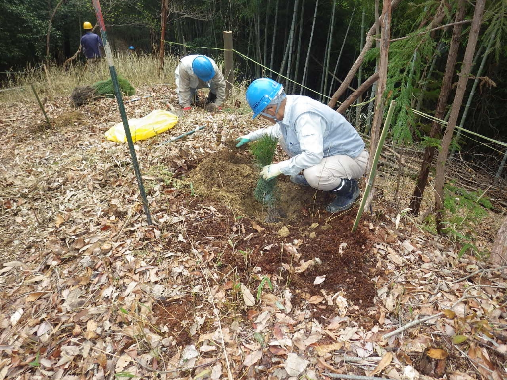 c0kkeoxkg-lbdu5h_dr3d5no6aq1gdrc.jpg c0kkeoxkg-lbdu5h_dr3d5no6aq1gdrc.jpg