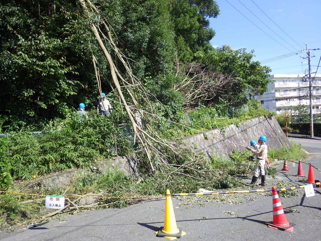 mld9rexy4jkuy0jcm5i-yqeaqcwpyybb.jpg mld9rexy4jkuy0jcm5i-yqeaqcwpyybb.jpg