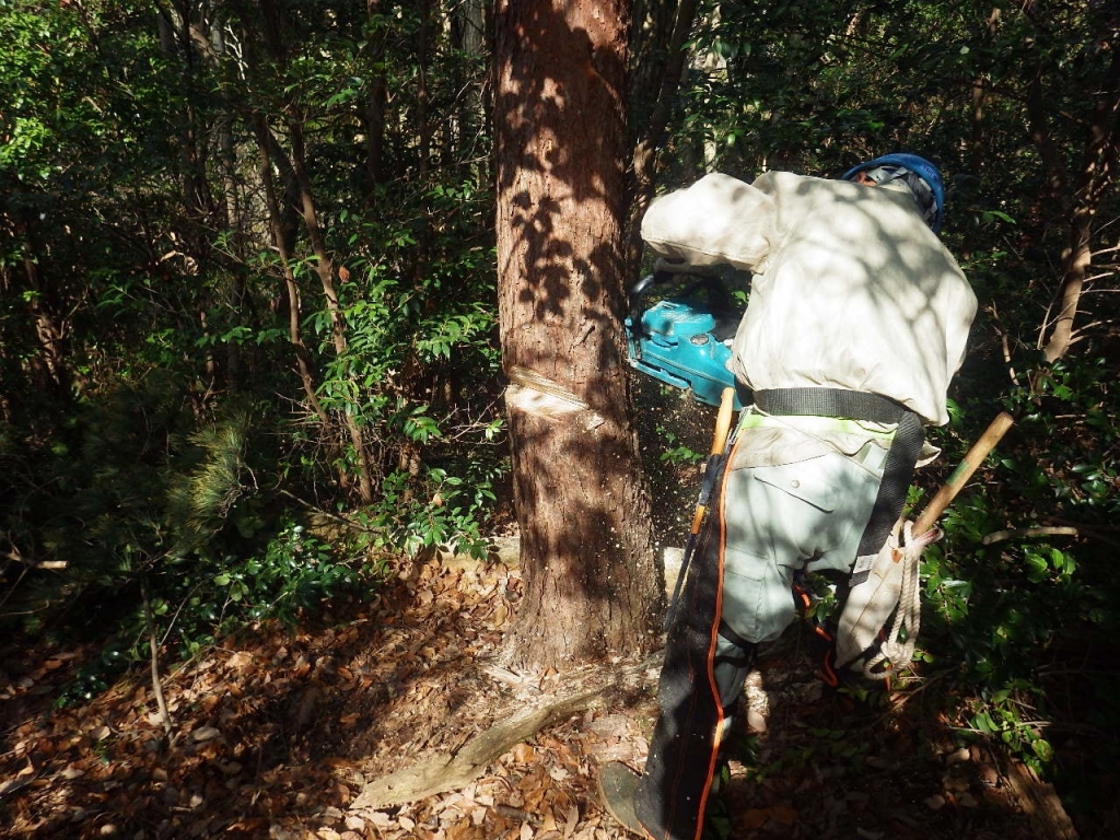 qnpoy4emc_wor55k4feuel35d29ns86c.jpg qnpoy4emc_wor55k4feuel35d29ns86c.jpg