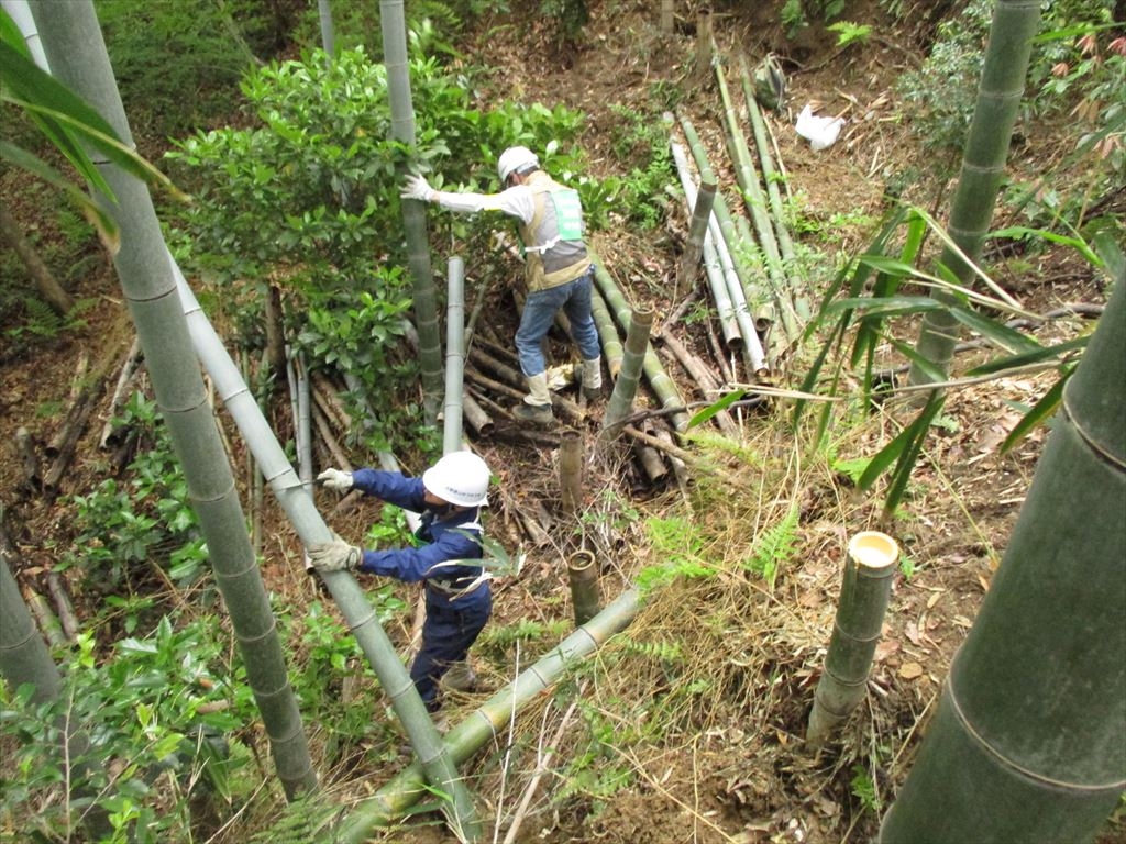 27fizt7phj61uqz451i1ty5rc5h9id0f.jpg 27fizt7phj61uqz451i1ty5rc5h9id0f.jpg