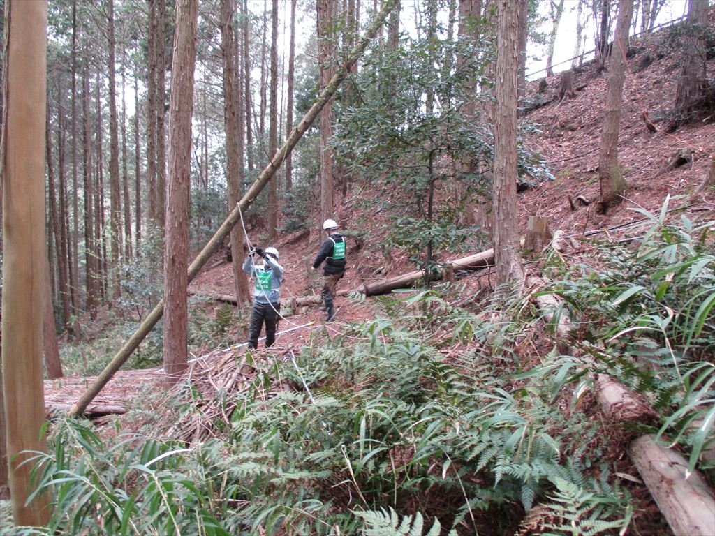 t57tra5pzjlz01ftzz_6p749qclfkgma.jpg t57tra5pzjlz01ftzz_6p749qclfkgma.jpg