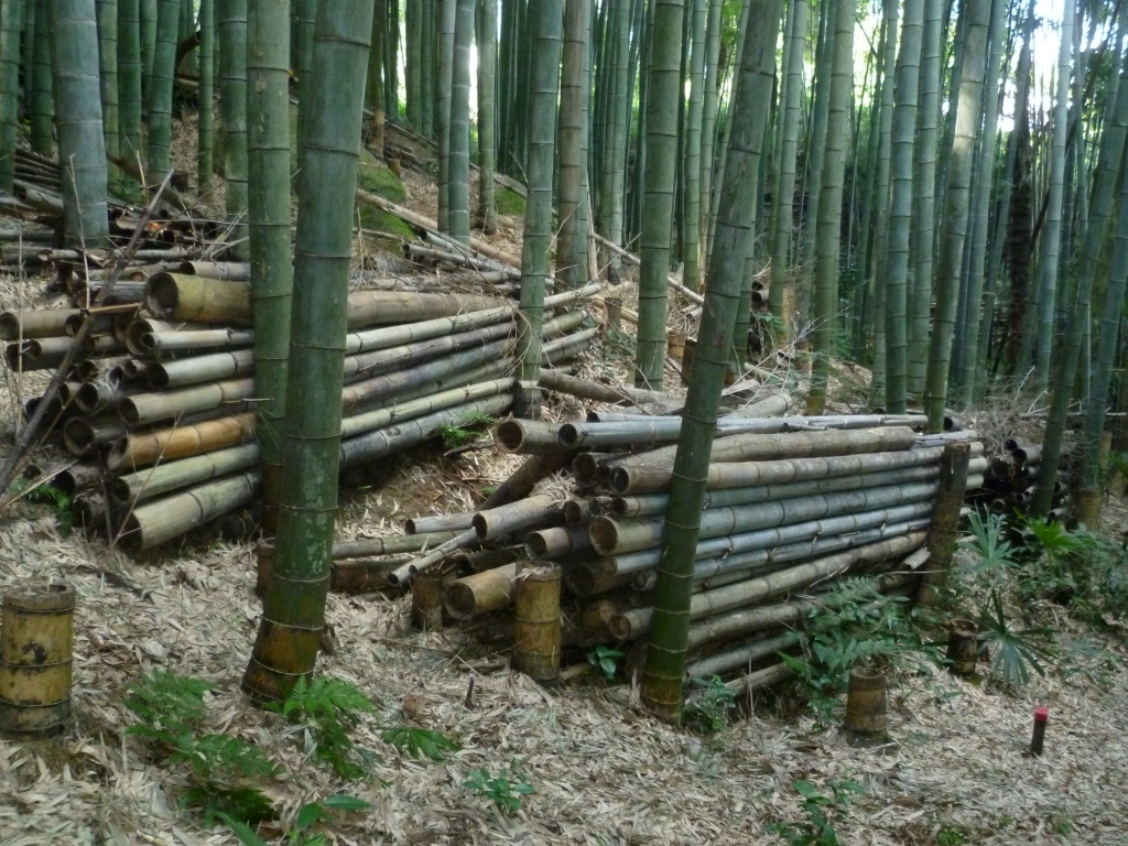 32r-iitagqh7kf77rmw44kwq_6wvdgnd.jpg 32r-iitagqh7kf77rmw44kwq_6wvdgnd.jpg