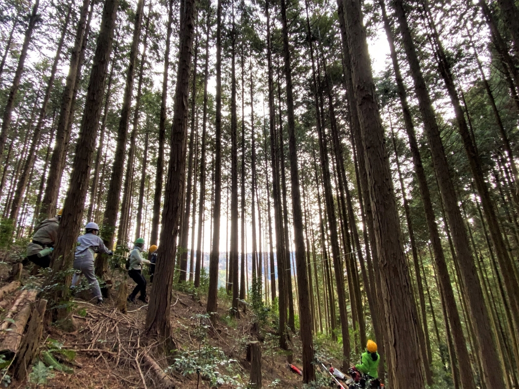 nhzhh4zgil-js0g7tb7y_hg38lr2396a.jpg nhzhh4zgil-js0g7tb7y_hg38lr2396a.jpg