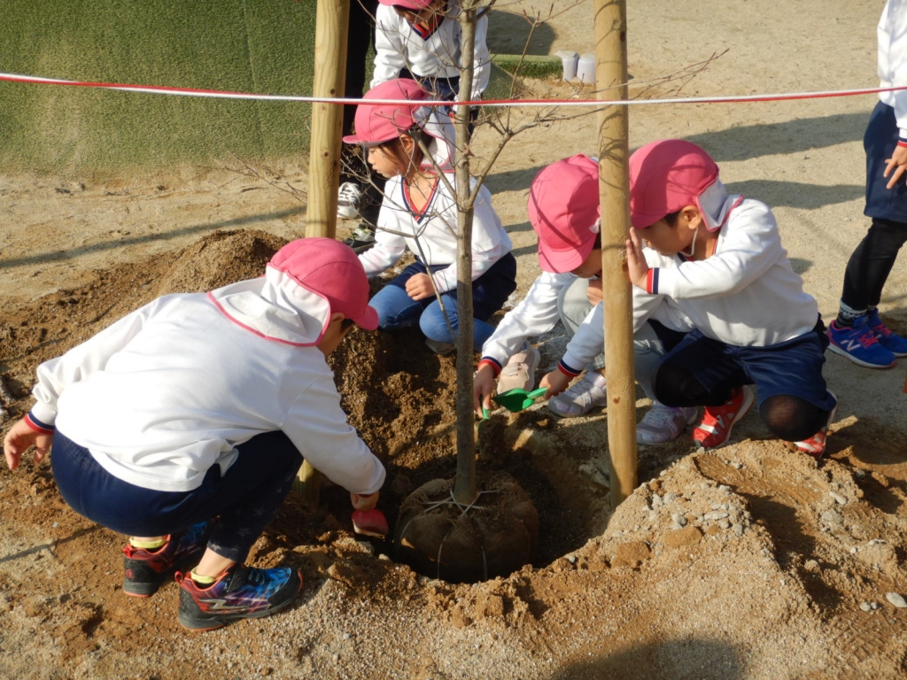 h16asqxm1vivr7ruu4140ic1c45ahwlk.jpg h16asqxm1vivr7ruu4140ic1c45ahwlk.jpg