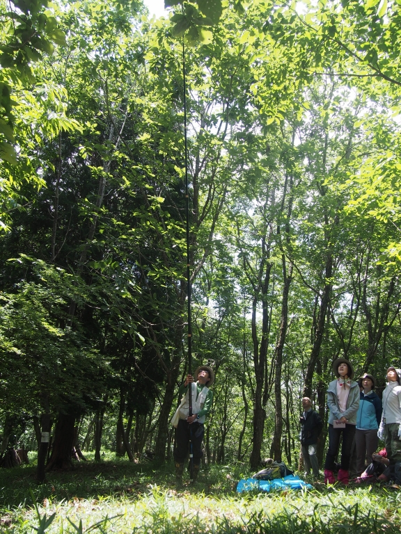 e0v7gs8c63dp5cbhmymb65zbnxav732z.jpg e0v7gs8c63dp5cbhmymb65zbnxav732z.jpg