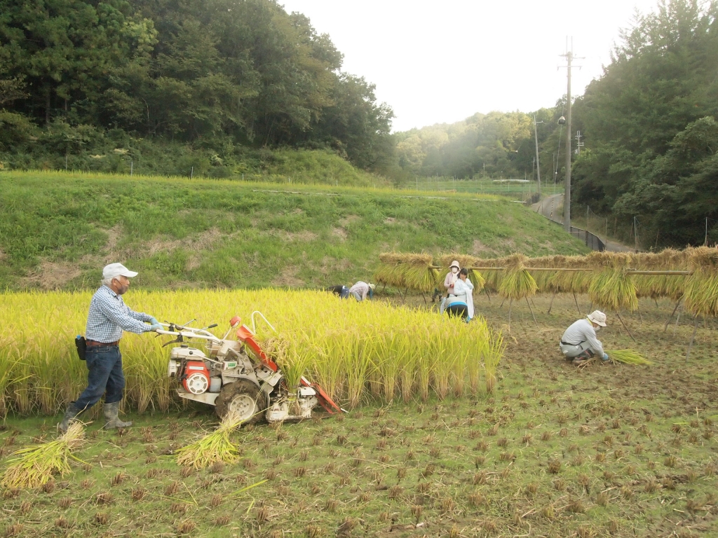 hbm_tlt14t-hfngjd07hfq0wylf8byb0.jpg hbm_tlt14t-hfngjd07hfq0wylf8byb0.jpg