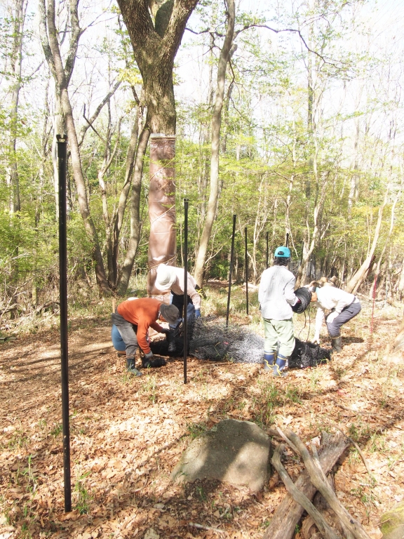 ma3f-sq9fwd8l4uan9u2nvxg5z_7umn5.jpg ma3f-sq9fwd8l4uan9u2nvxg5z_7umn5.jpg