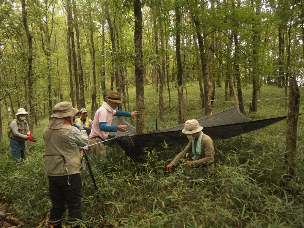 o79_1j3_brn7qiq2rigqab3kk6gcem6a.jpg o79_1j3_brn7qiq2rigqab3kk6gcem6a.jpg