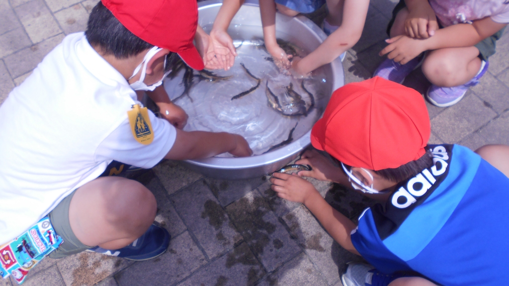 ect9-5vfr5qx5fgrfko07__p_-b0un68.jpg ect9-5vfr5qx5fgrfko07__p_-b0un68.jpg