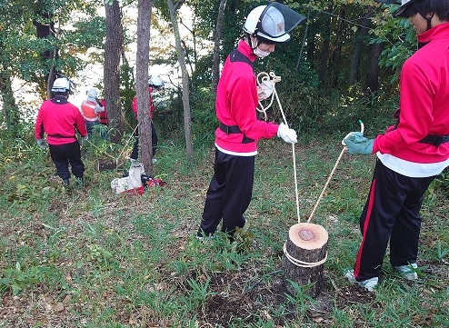 oy6ynbpe7j-q1zzrlx9wizssz4k5wl9j.jpg oy6ynbpe7j-q1zzrlx9wizssz4k5wl9j.jpg