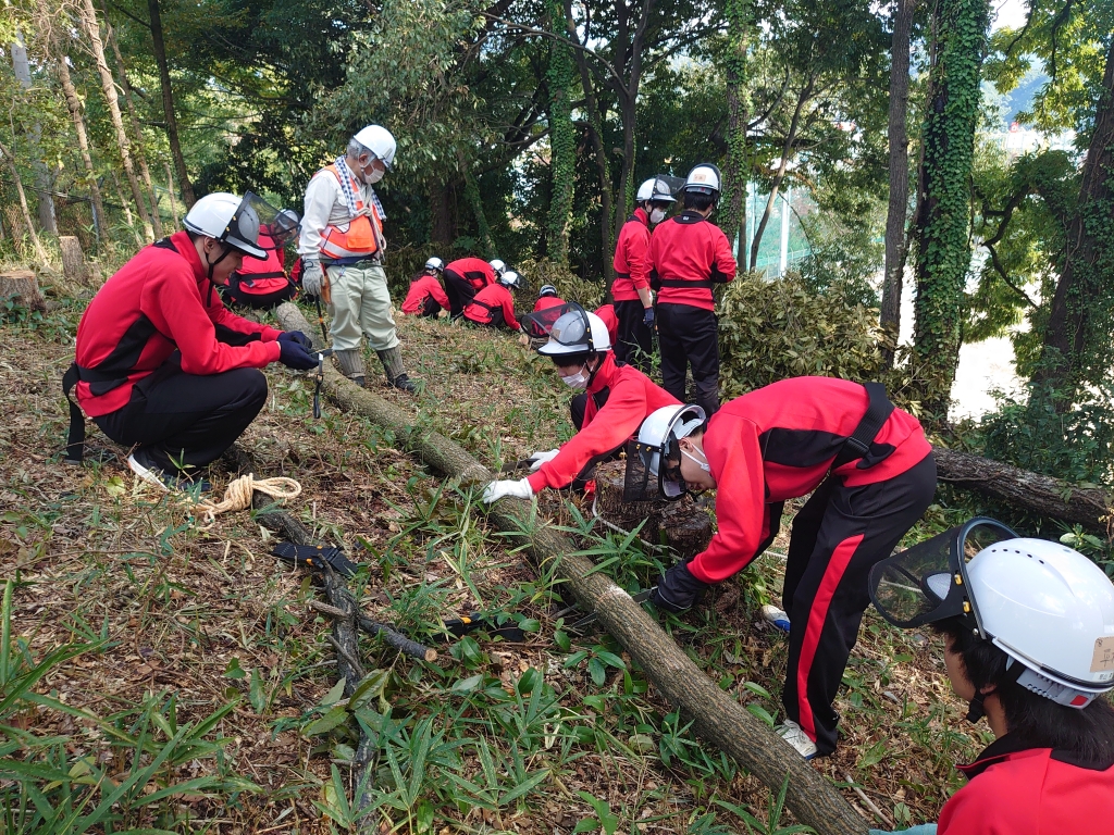 syl5bcky_u245m0p17jr8m8b-olvcd61.jpg syl5bcky_u245m0p17jr8m8b-olvcd61.jpg