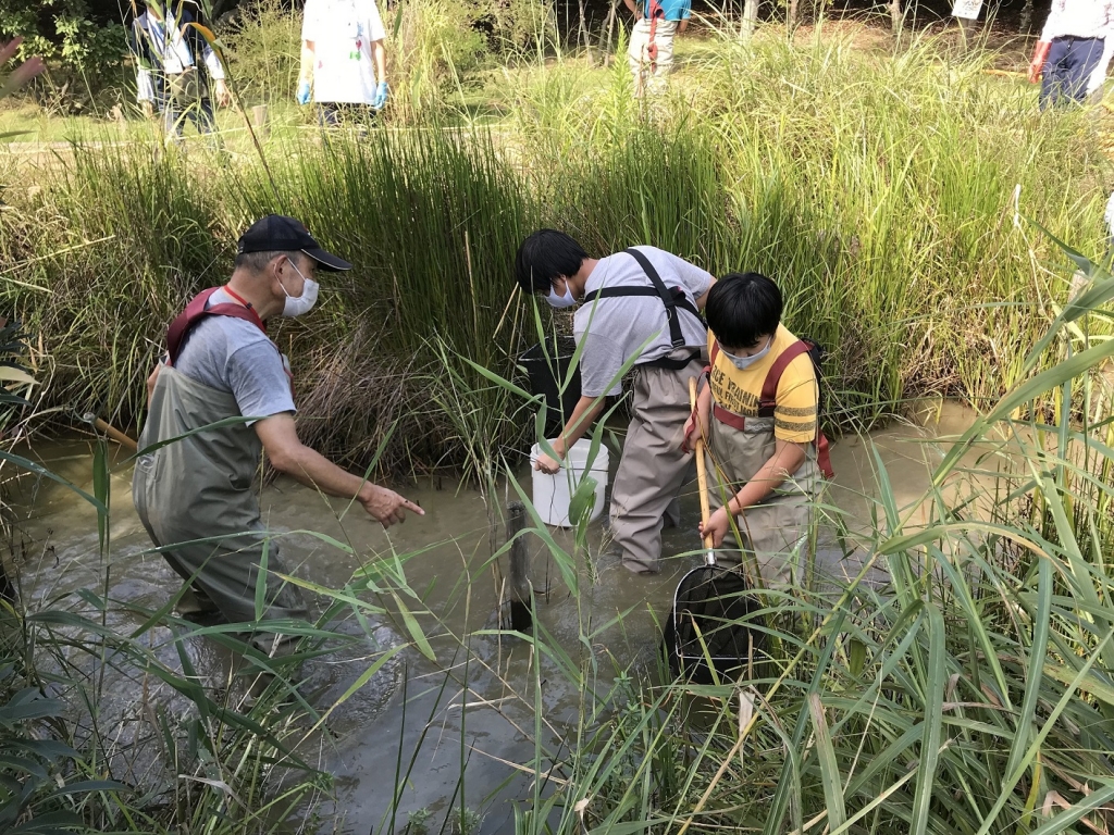 t9t4gbppuyf6ea_plknryc7lnr_m4wzu.jpg t9t4gbppuyf6ea_plknryc7lnr_m4wzu.jpg