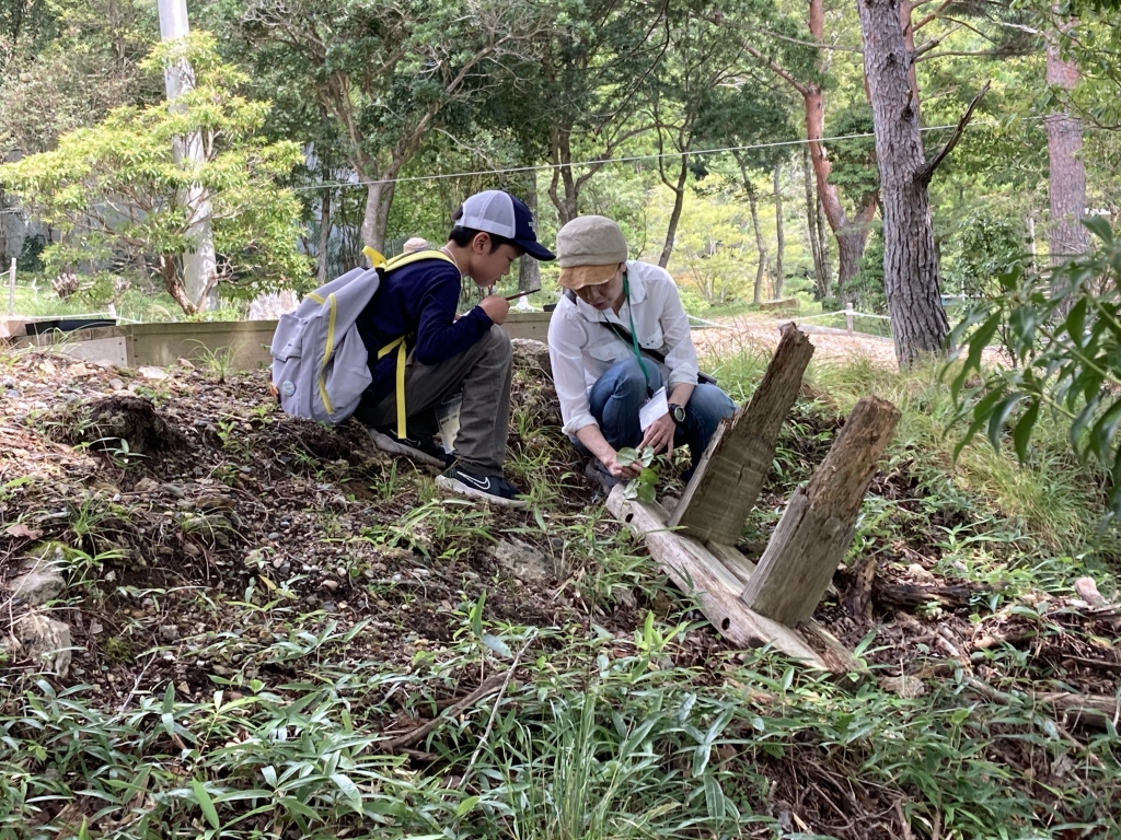 q483ak_atq7im-xumn23viqhm5x6vwcc.jpg q483ak_atq7im-xumn23viqhm5x6vwcc.jpg