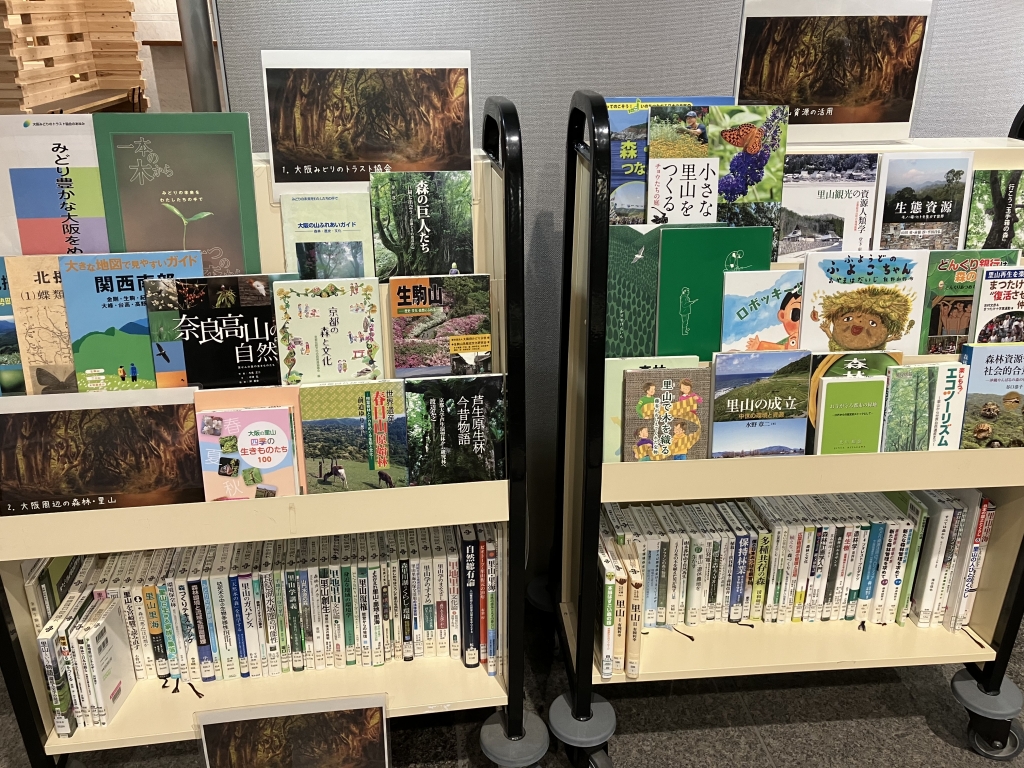 n50yie80s76z_3n133ymk7fe04sj17rd.jpg n50yie80s76z_3n133ymk7fe04sj17rd.jpg