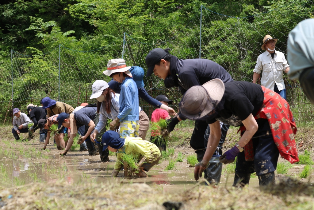 vacoqjs6ao3haebdgw9okymhac4thr6n.jpg vacoqjs6ao3haebdgw9okymhac4thr6n.jpg