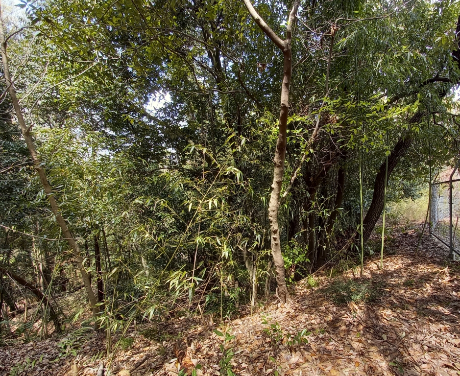 f2atmap0w0if7pxo7lrbxcd89pyxppp_.jpg f2atmap0w0if7pxo7lrbxcd89pyxppp_.jpg