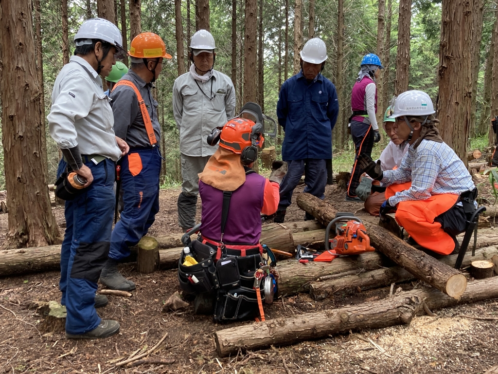 qz5v479_fsnzujhxccad2xsqknqrpzyn.jpg qz5v479_fsnzujhxccad2xsqknqrpzyn.jpg