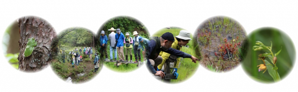 70_rdkgqlew14-_fi4xbkxdaybg8qd6u.jpg 70_rdkgqlew14-_fi4xbkxdaybg8qd6u.jpg