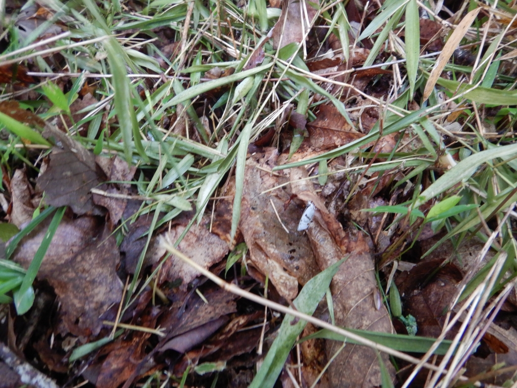 9woq-we7qnryy8i1bfec5p91ey-4ka33.jpg 9woq-we7qnryy8i1bfec5p91ey-4ka33.jpg