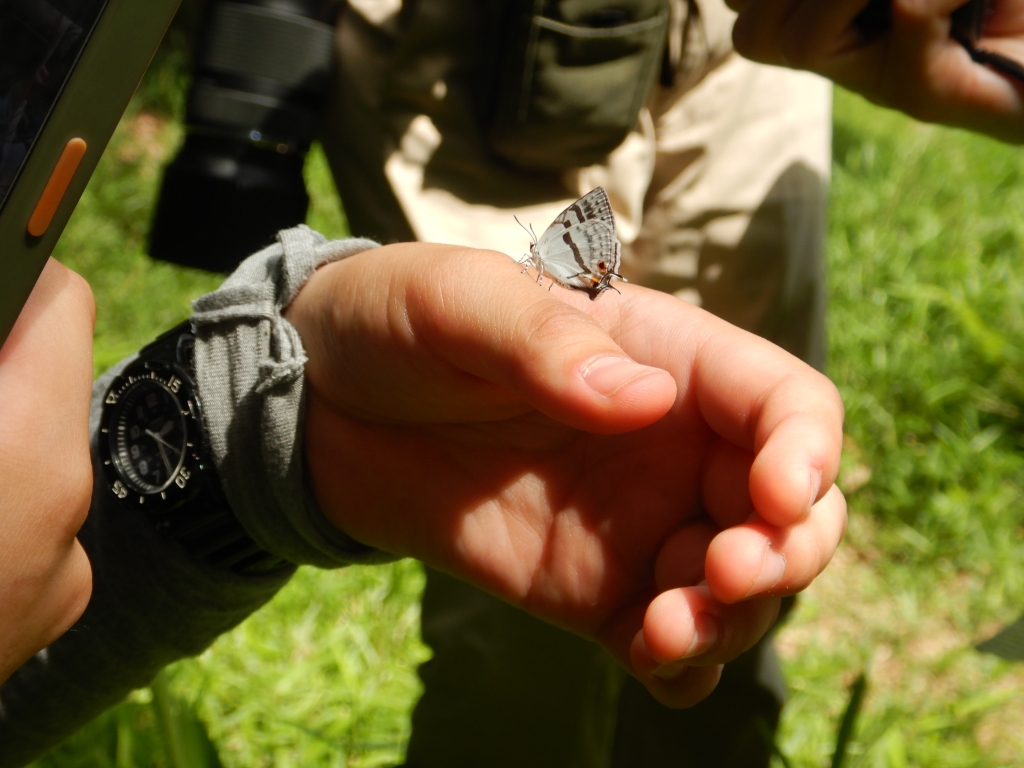 9zii4rm_0-1zuw8bubguv--plrczmvvi.jpg 9zii4rm_0-1zuw8bubguv--plrczmvvi.jpg