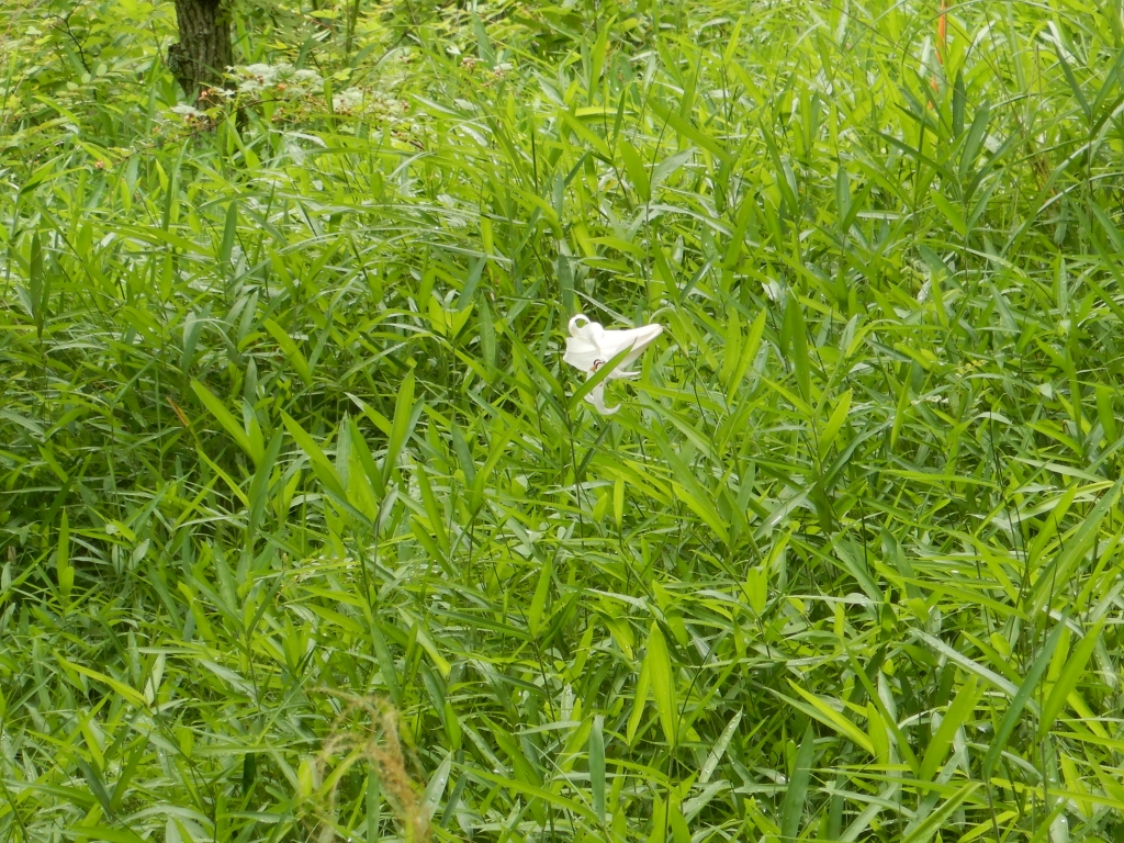 e_vk_ojmyux78dup7bgrwezlzbypmaaj.jpg e_vk_ojmyux78dup7bgrwezlzbypmaaj.jpg