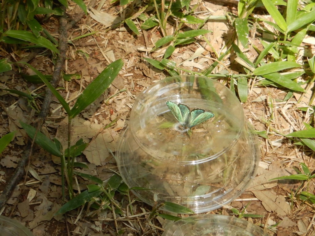 pg9dhisq4cqr-qxtsil56g639dap9rap.jpg pg9dhisq4cqr-qxtsil56g639dap9rap.jpg